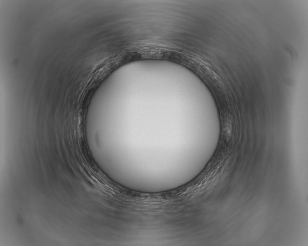 X0000111870964200907231148