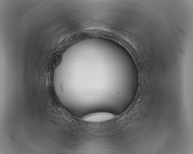 X0000111870965200907231148