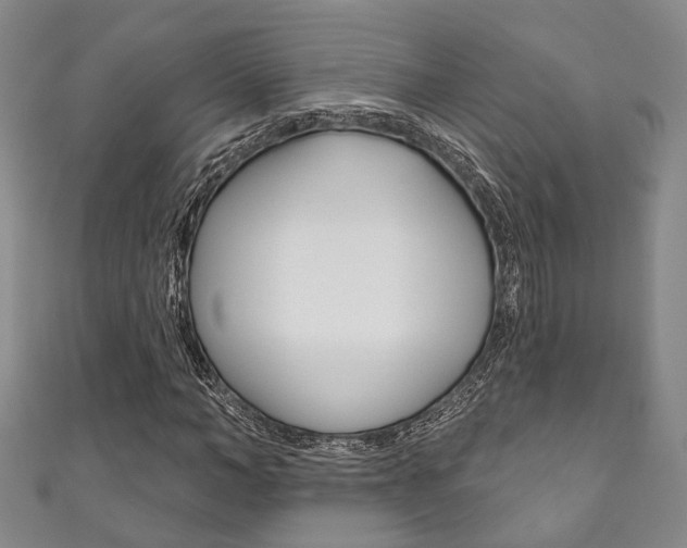X0000111870966200907231148