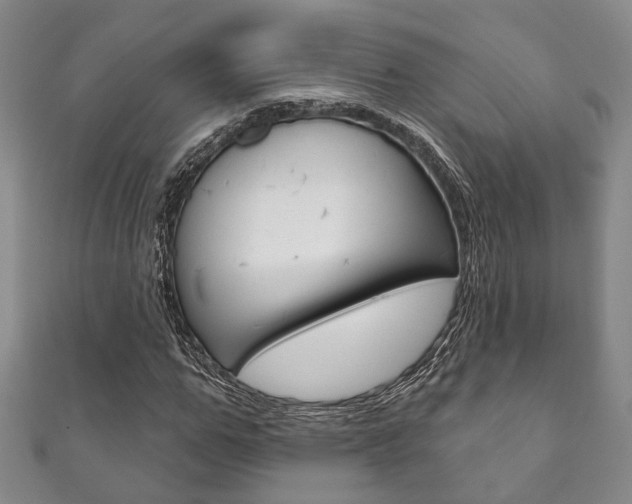 X0000111870967200907231148
