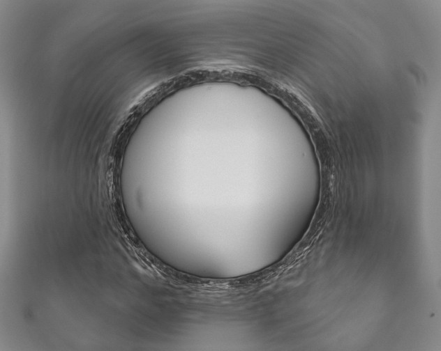X0000111870968200907231148