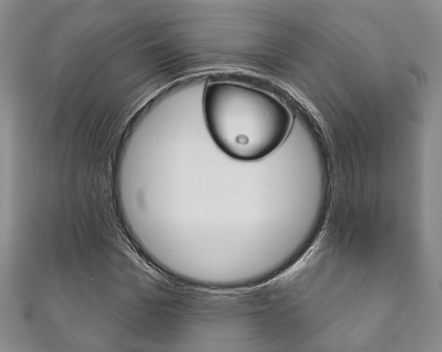X0000111870969200907231148