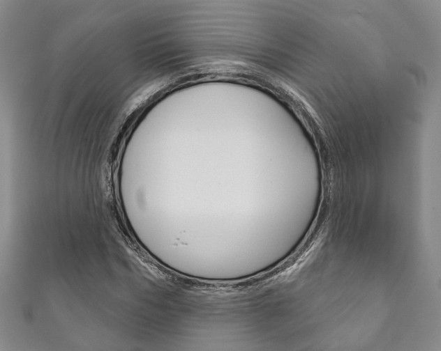 X0000111870970200907231148