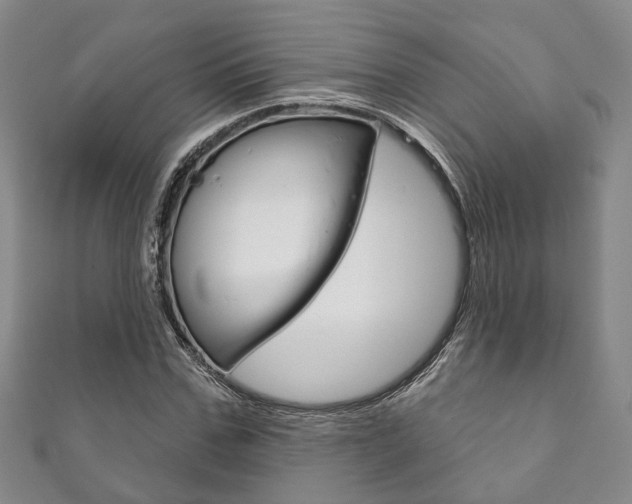 X0000111870971200907231148
