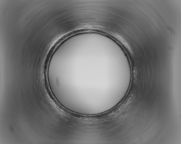 X0000111870972200907231148