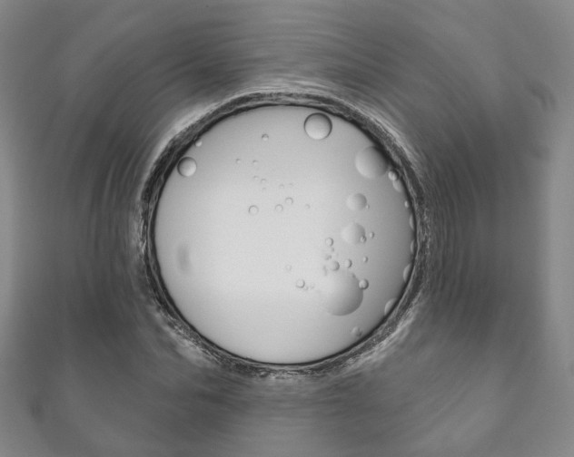 X0000111870974200907231148