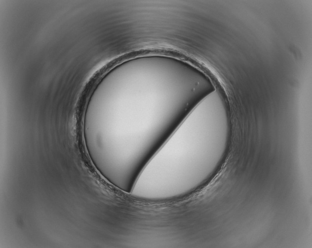 X0000111870975200907231148