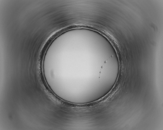 X0000111870976200907231148