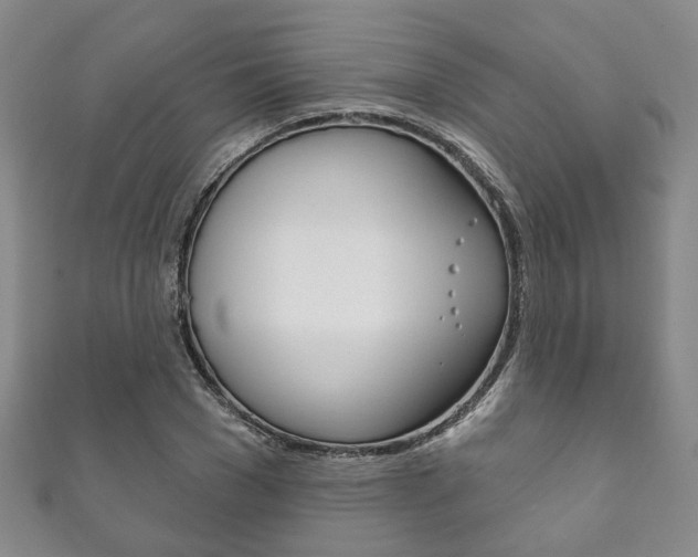 X0000111870977200907231148