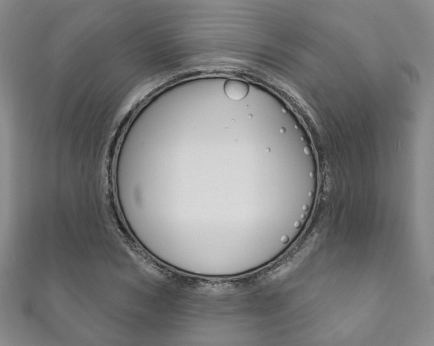 X0000111870978200907231148