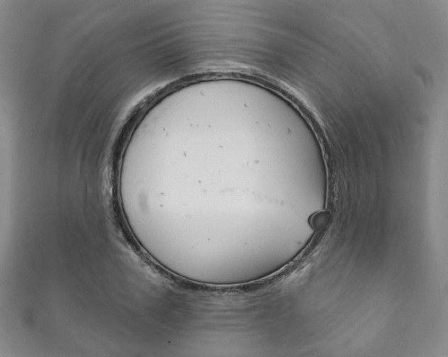 X0000111870979200907231148