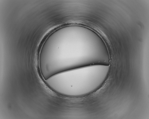 X0000111870984200907231148