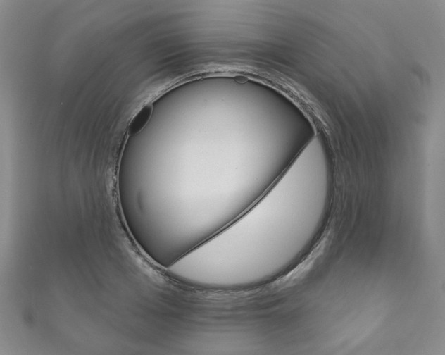 X0000111870985200907231148