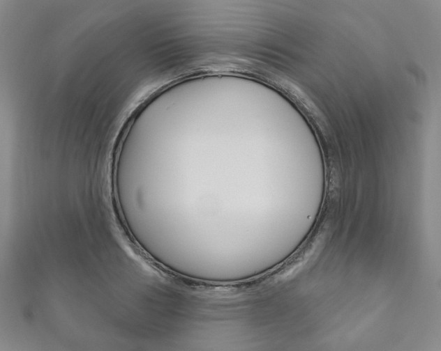X0000111870986200907231148