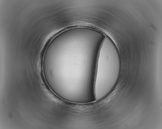 X0000111870987200907231148