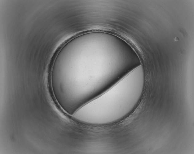 X0000111870991200907231148