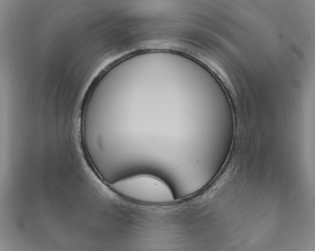 X0000111870992200907231148