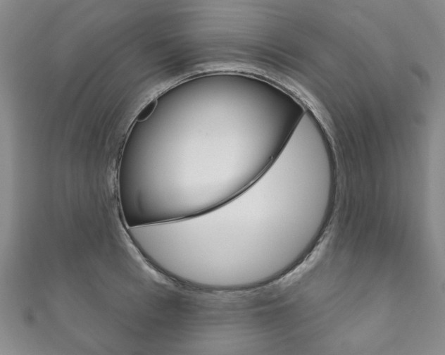 X0000111870993200907231148