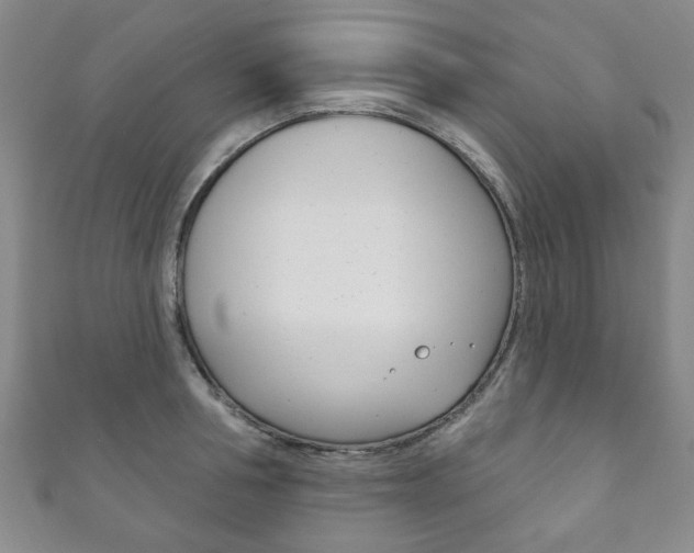 X0000111870994200907231147