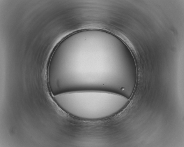 X0000111870996200907231147
