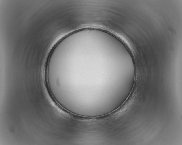 X0000111870999200907231147