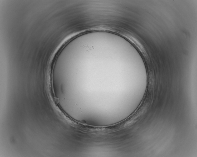 X0000111871000200907231147