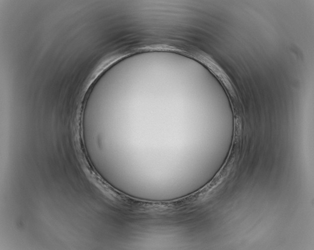 X0000111871002200907231147
