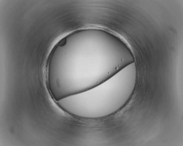 X0000111871003200907231147