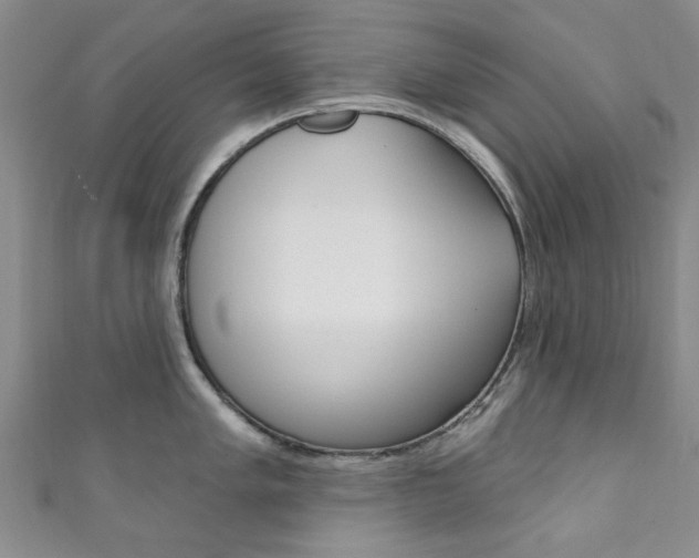 X0000111871005200907231147