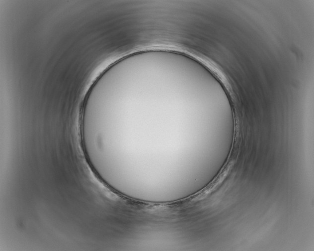 X0000111871006200907231147