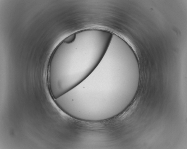 X0000111871007200907231147