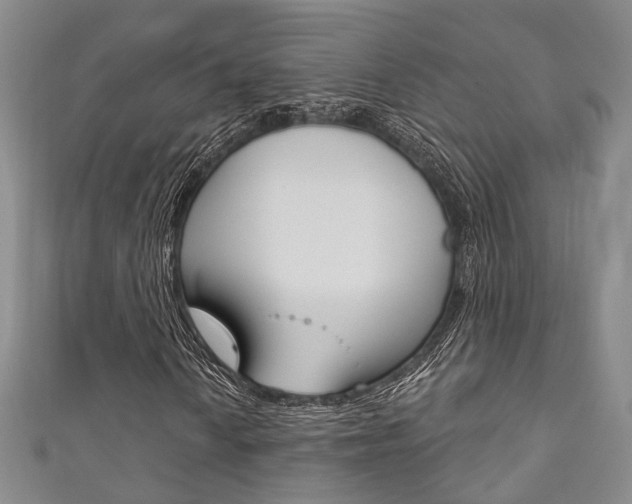 X0000111871010200907231147