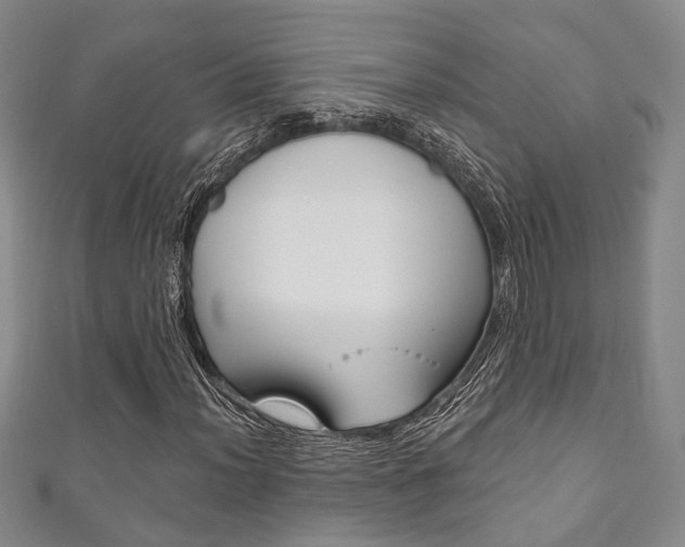 X0000111871012200907231147
