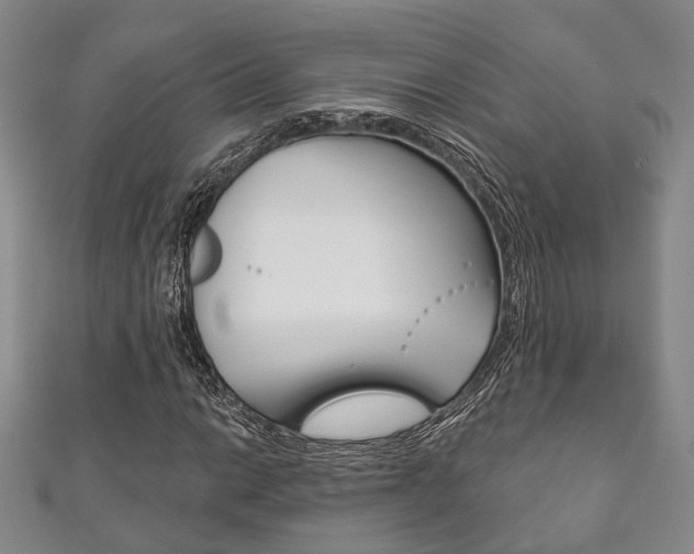 X0000111871014200907231147