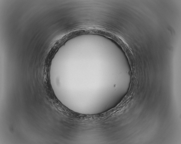 X0000111871016200907231147
