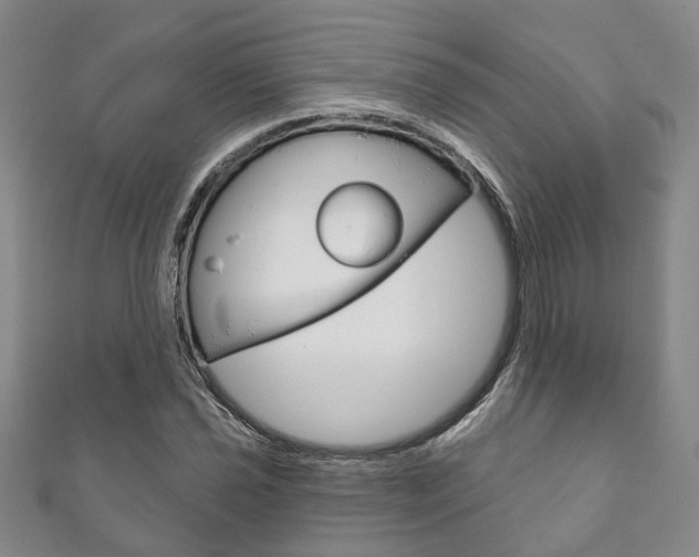 X0000111871021200907231147