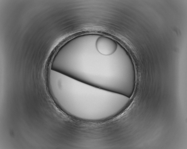 X0000111871022200907231147