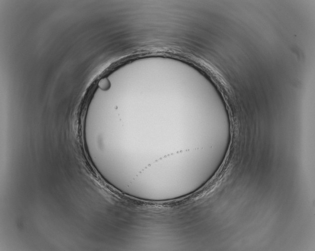 X0000111871023200907231147