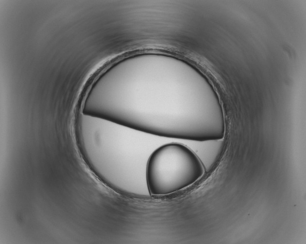 X0000111871024200907231147
