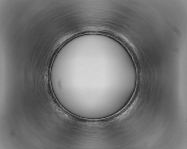 X0000111871025200907231147