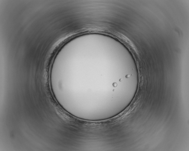 X0000111871027200907231147