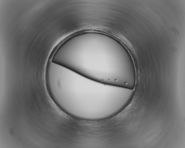 X0000111871028200907231147