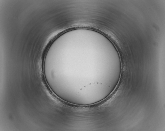 X0000111871030200907231147