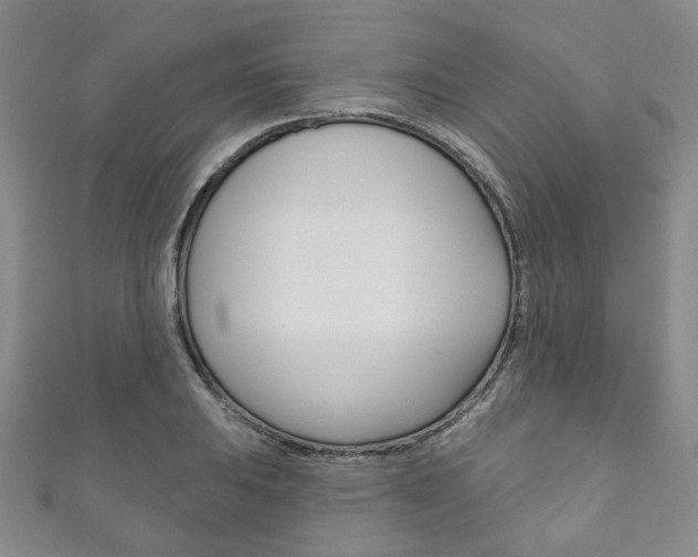 X0000111871031200907231147