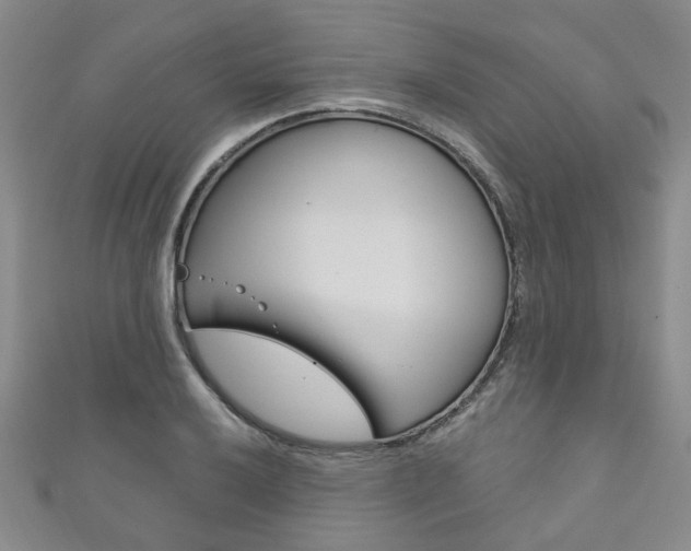 X0000111871032200907231147