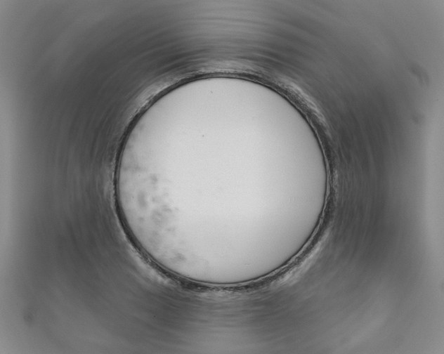 X0000111871033200907231147