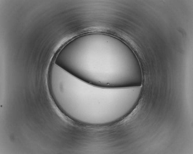 X0000111871034200907231147