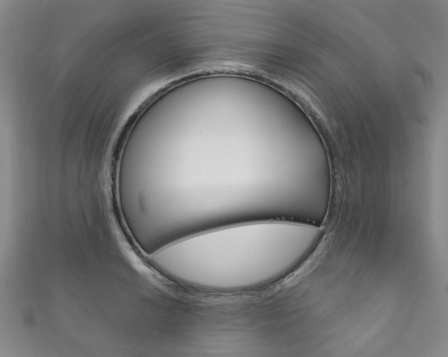 X0000111871038200907231147