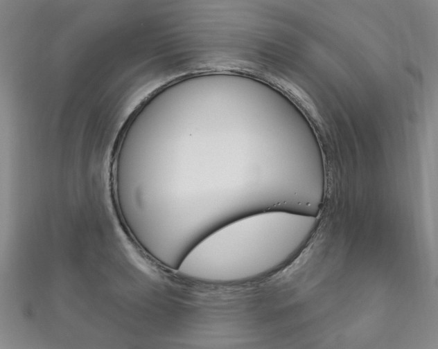 X0000111871039200907231147