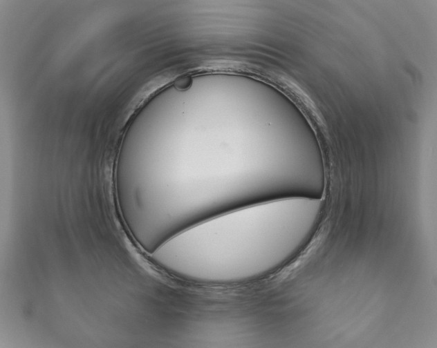 X0000111871041200907231147